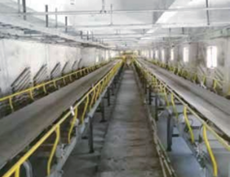 DTII型带式输送机产品系列